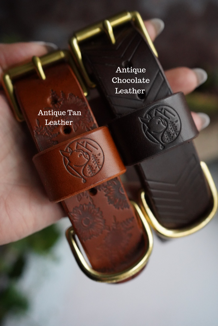 Two Tone Embossed Leather Collars