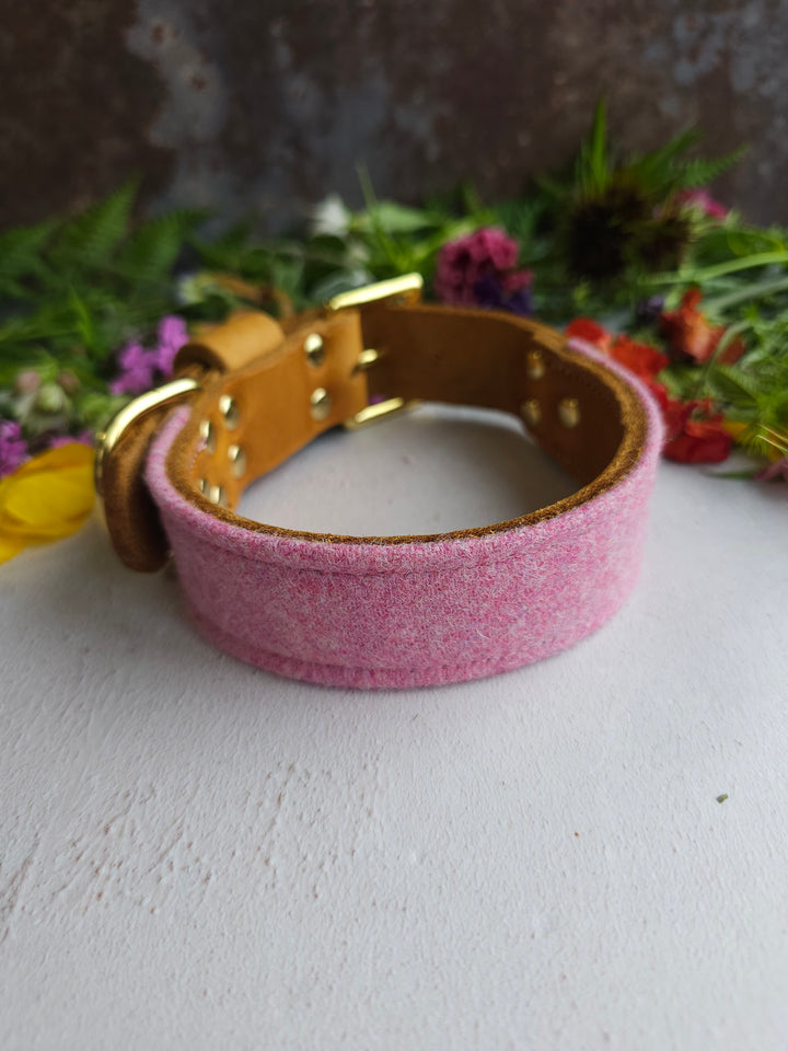 Calla - Luxury Buckle Collar - Moon Wool