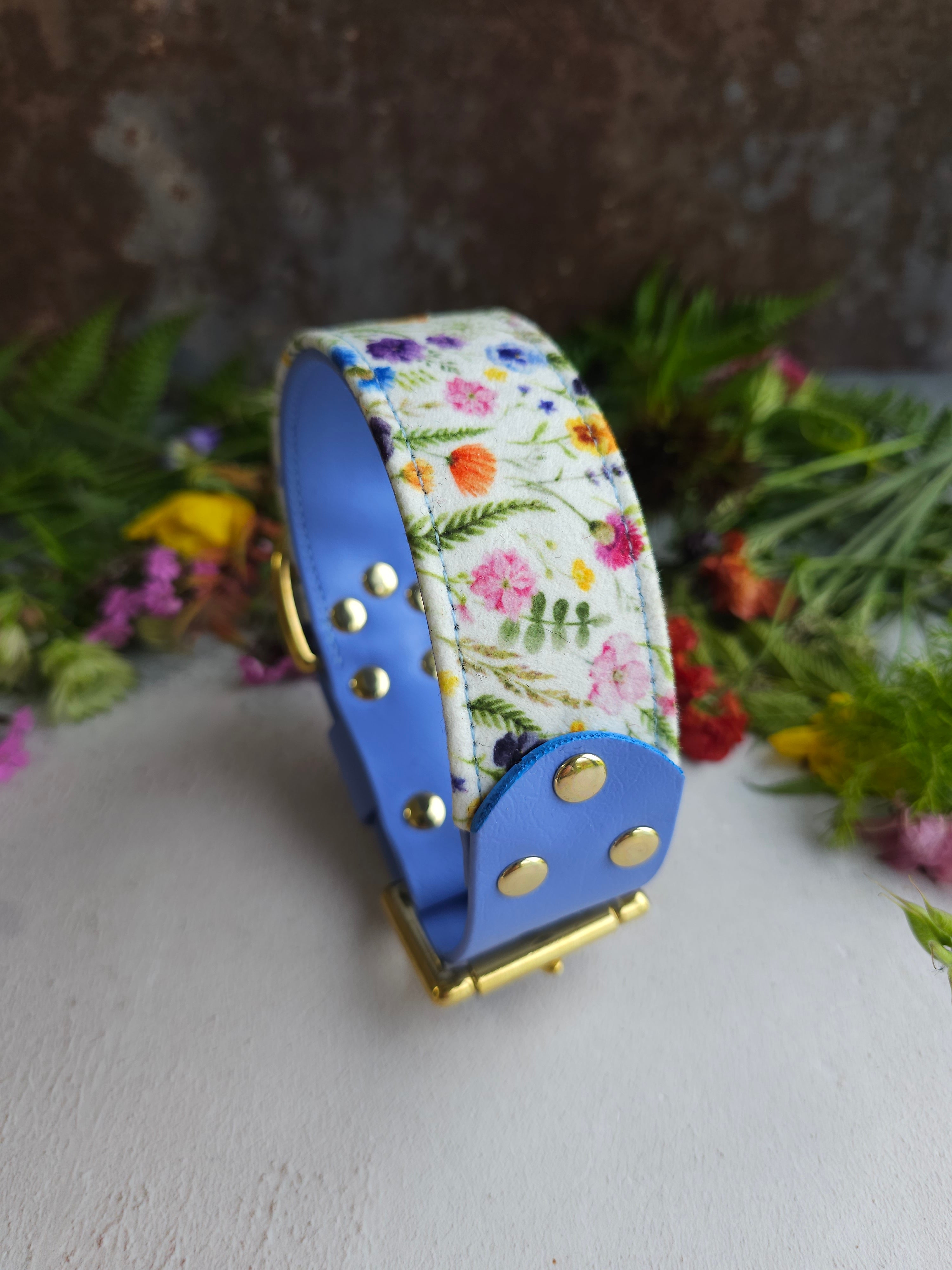 Buttercup - Luxury Buckle Collar - Velvet – Bramble and Friends