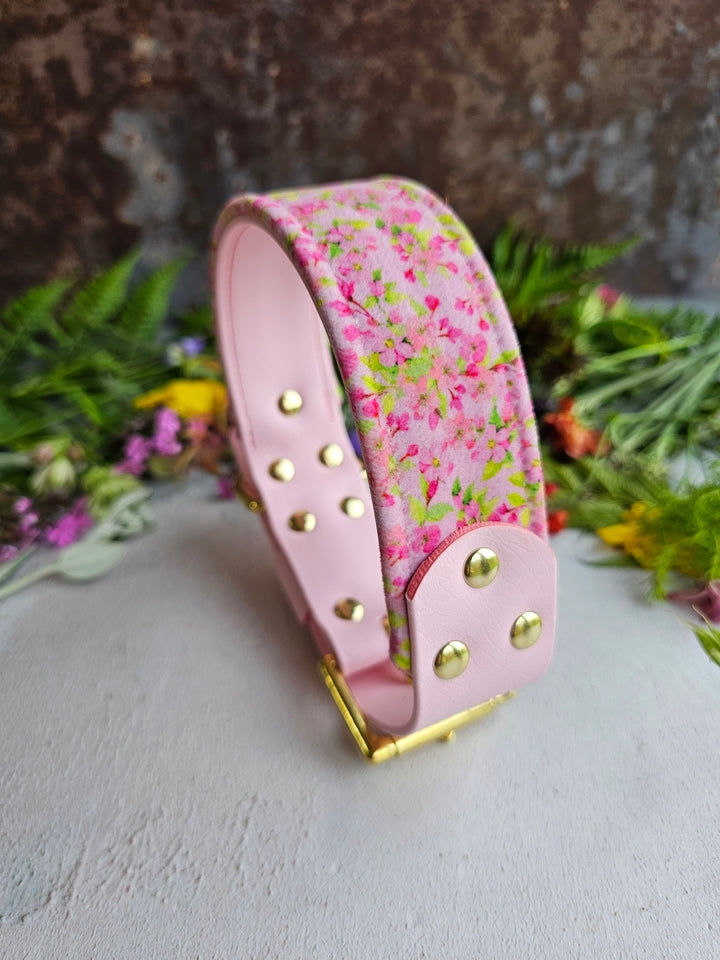 Cosmos - Luxury Buckle Collar - Velvet