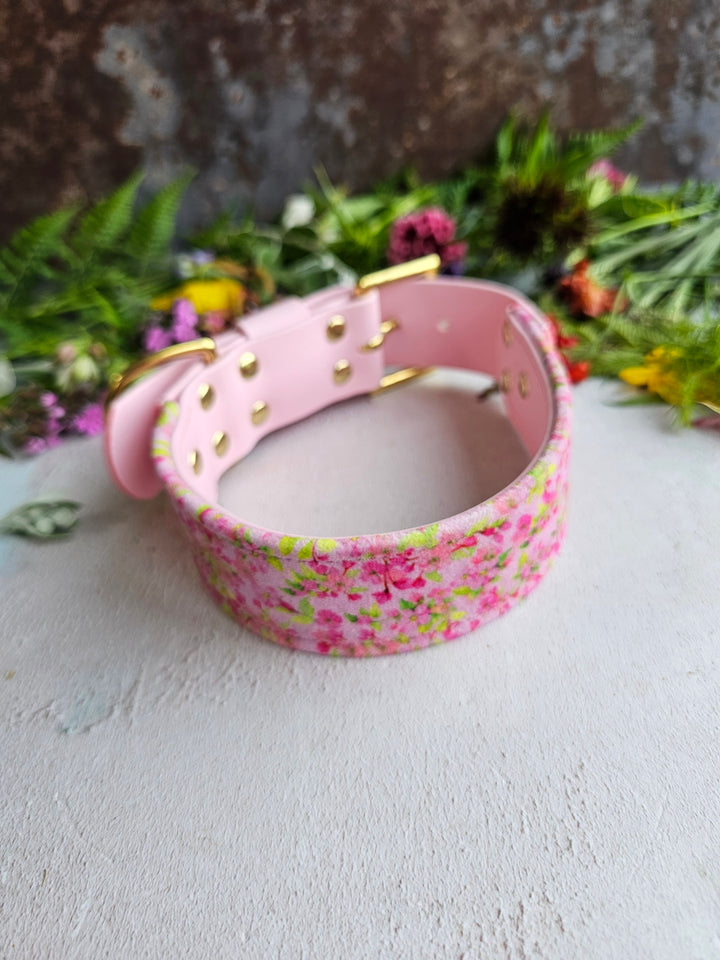 Cosmos - Luxury Buckle Collar - Velvet