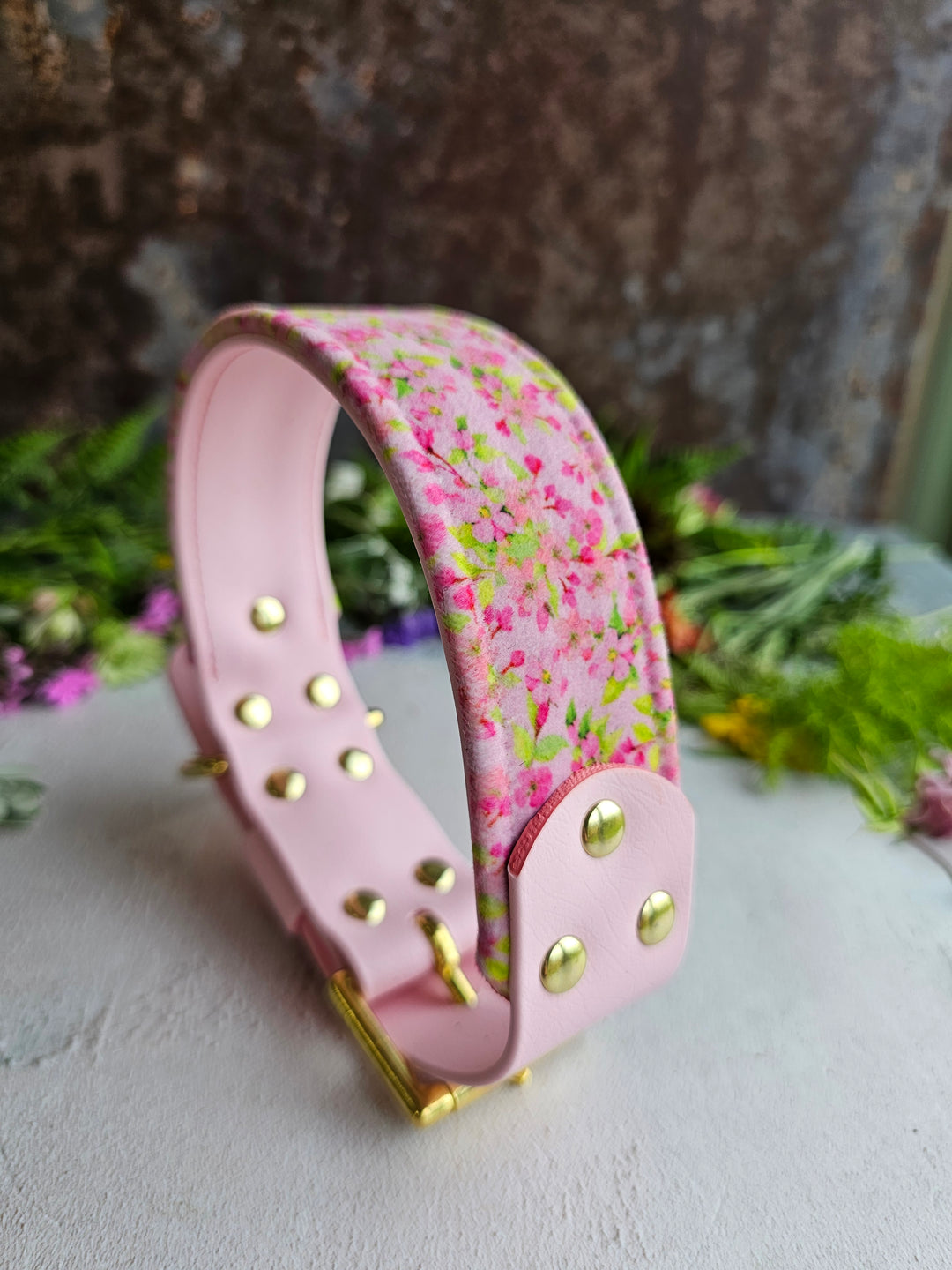 Cosmos - Luxury Buckle Collar - Velvet