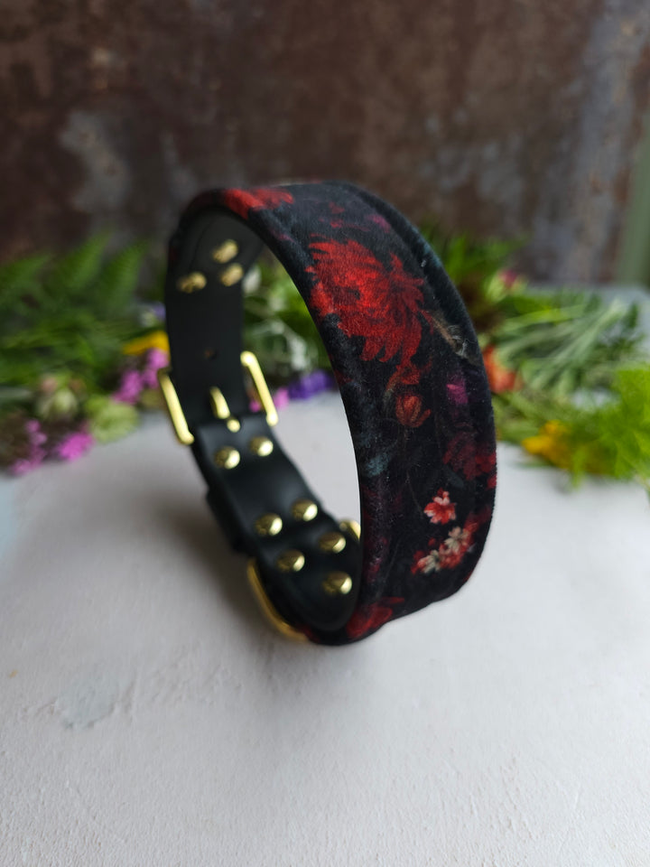 Raven - Luxury Buckle Collar - Velvet