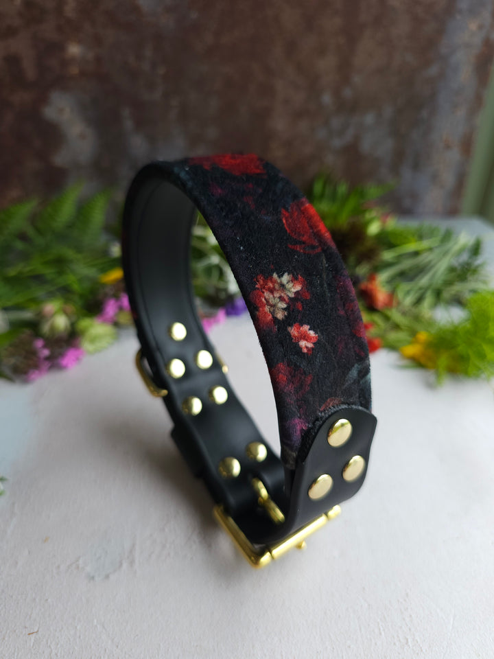 Raven - Luxury Buckle Collar - Velvet