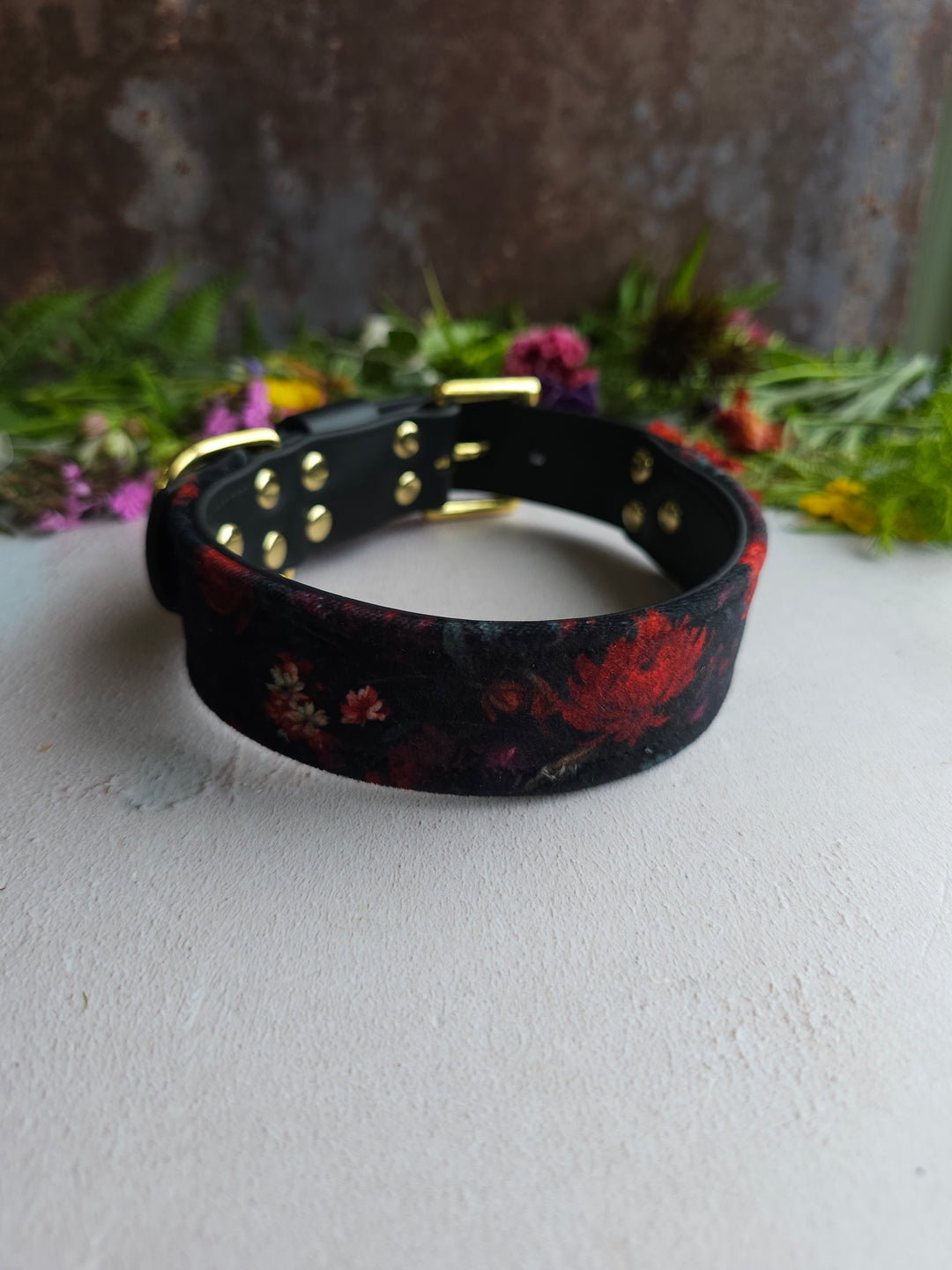 Raven - Luxury Buckle Collar - Velvet