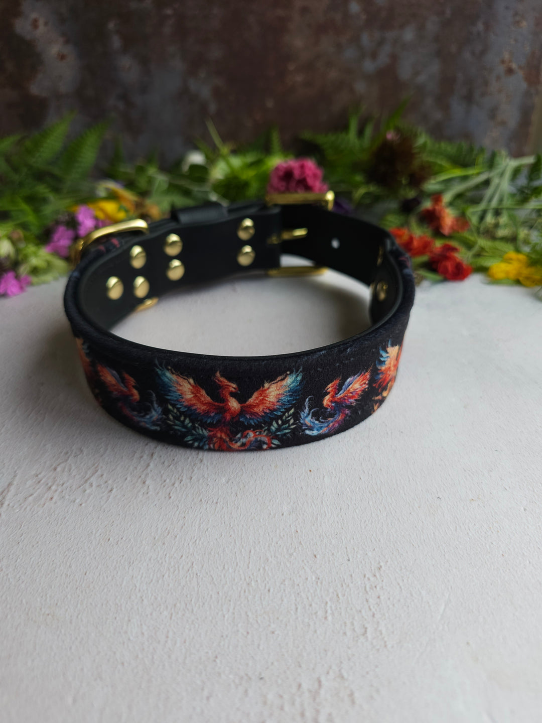 Firebird - Luxury Buckle Collar - Velvet