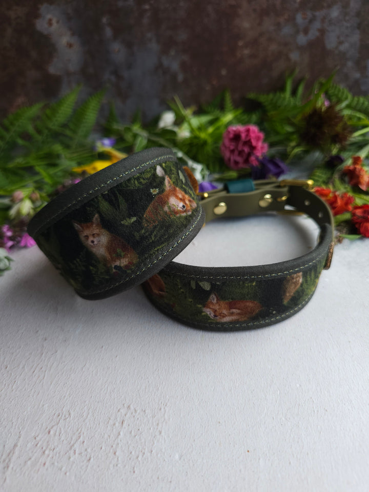 Fox Cub - Signature Collar - Velvet