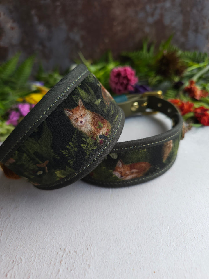 Fox Cub - Signature Collar - Velvet