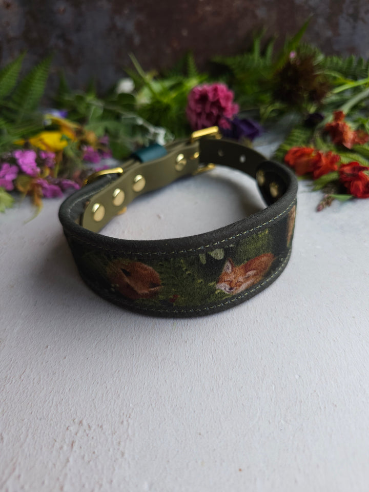 Fox Cub - Signature Collar - Velvet