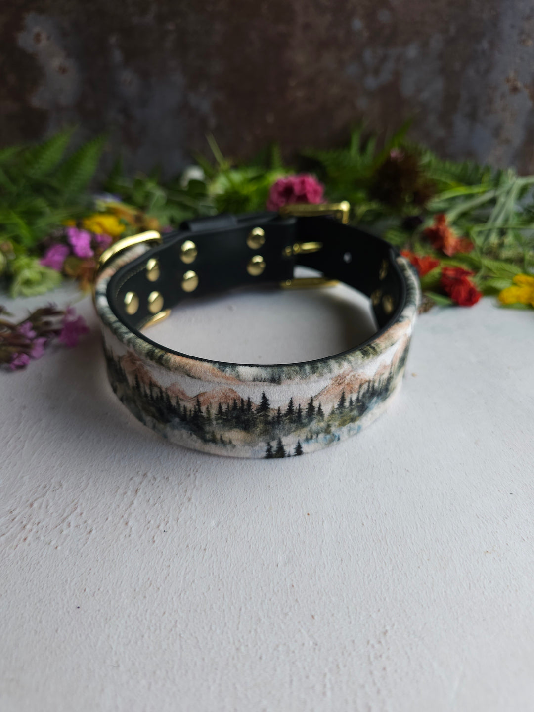 Pine - Luxury Buckle Collar - Velvet