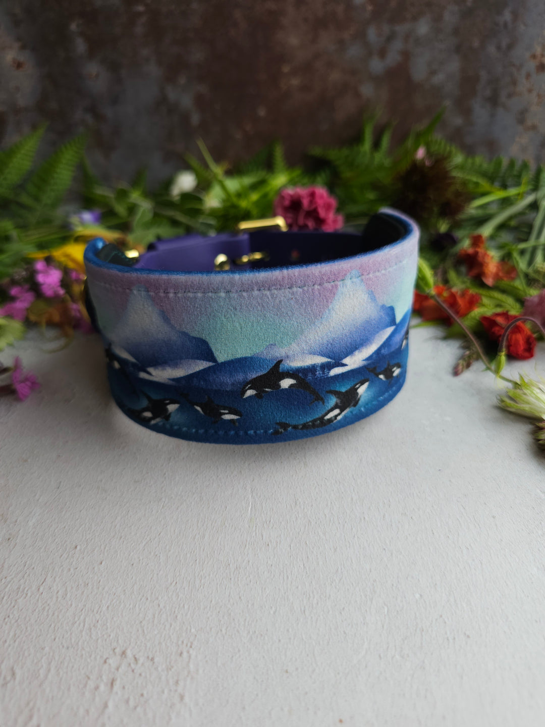 Whale Song - Luxury Buckle Collar - Velvet