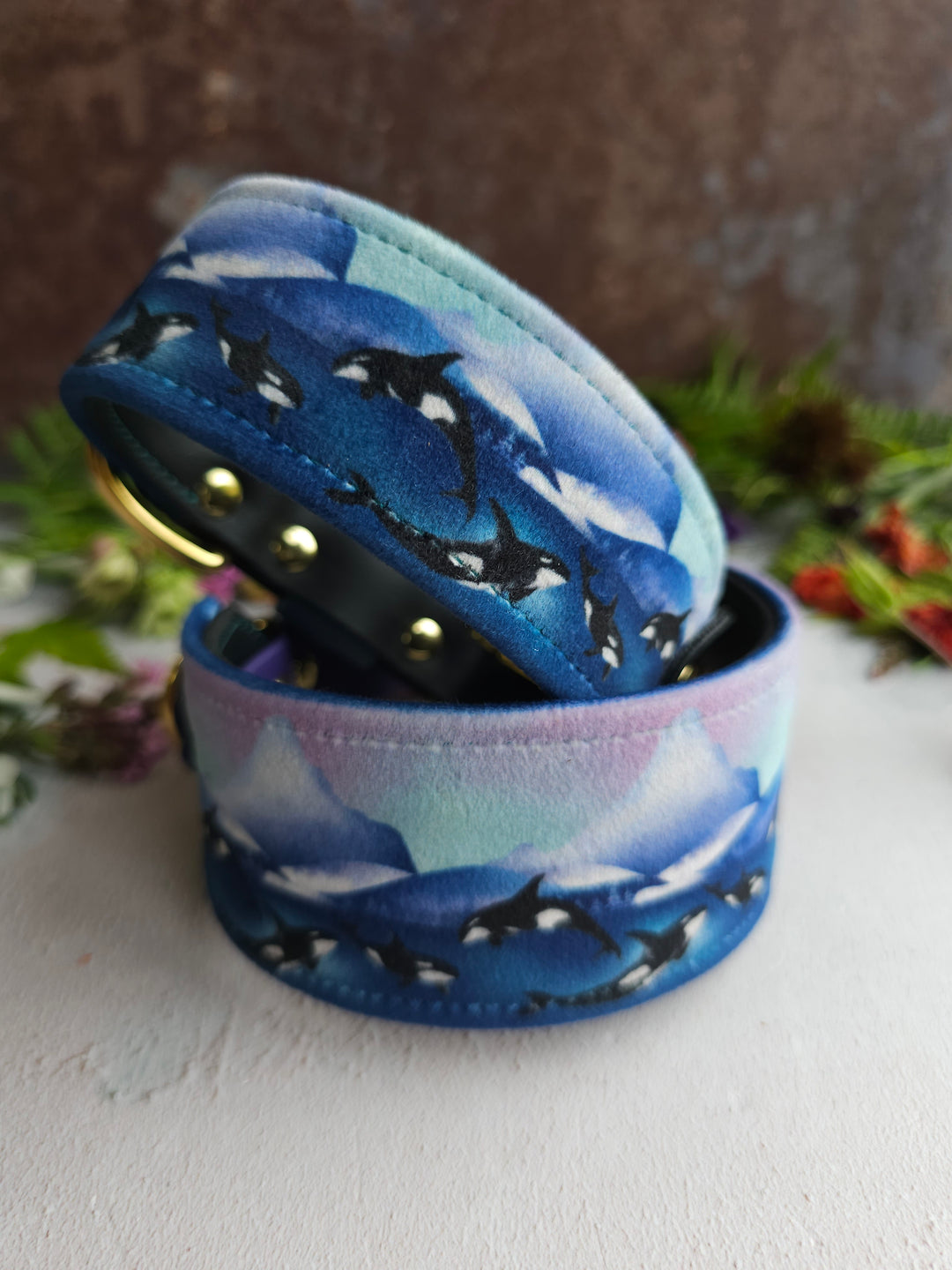 Whale Song - Luxury Buckle Collar - Velvet