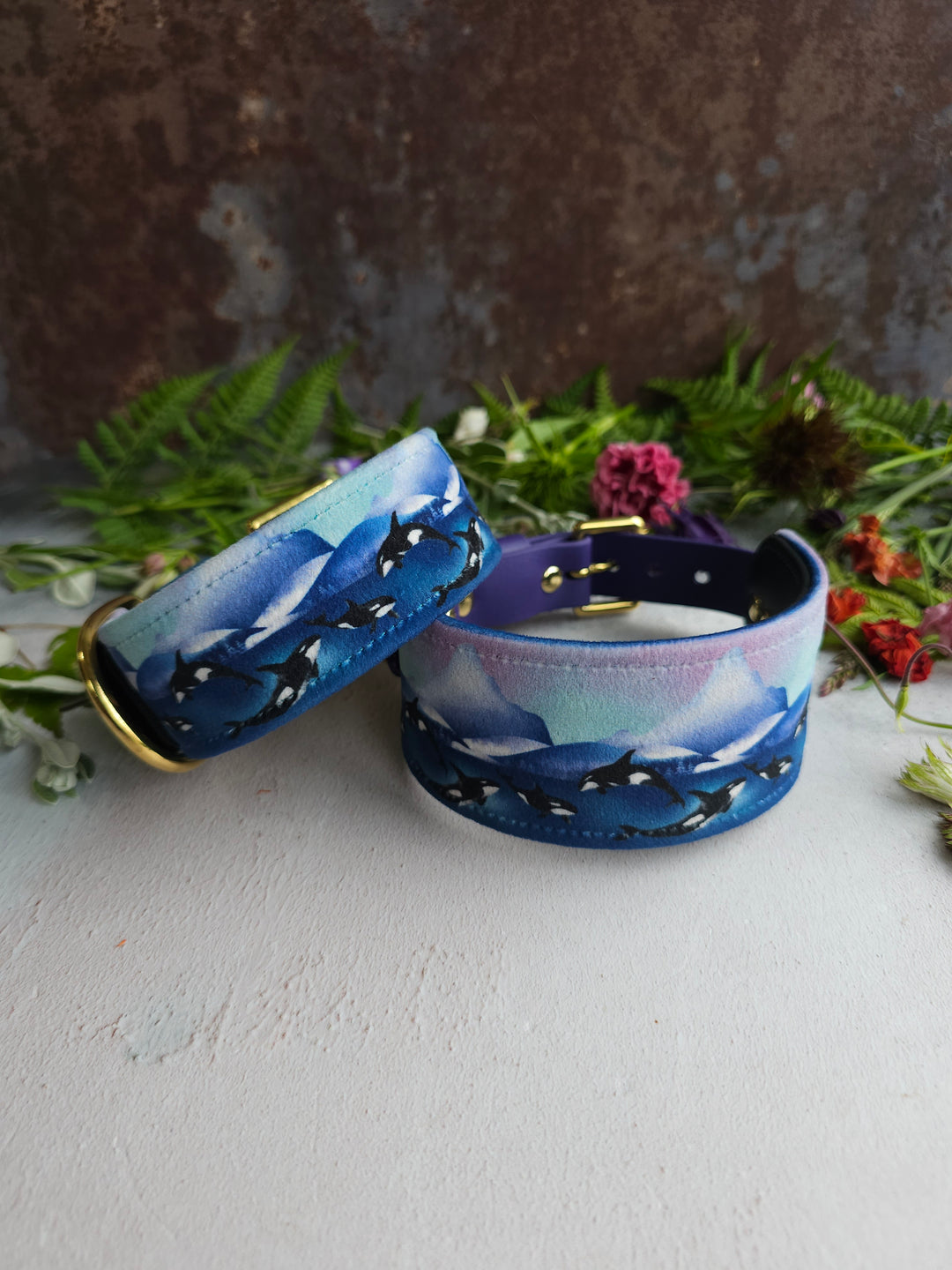 Whale Song - Luxury Buckle Collar - Velvet