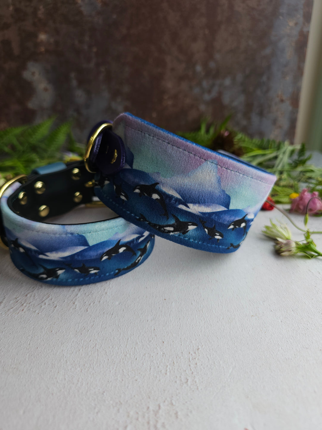 Whale Song - Luxury Buckle Collar - Velvet