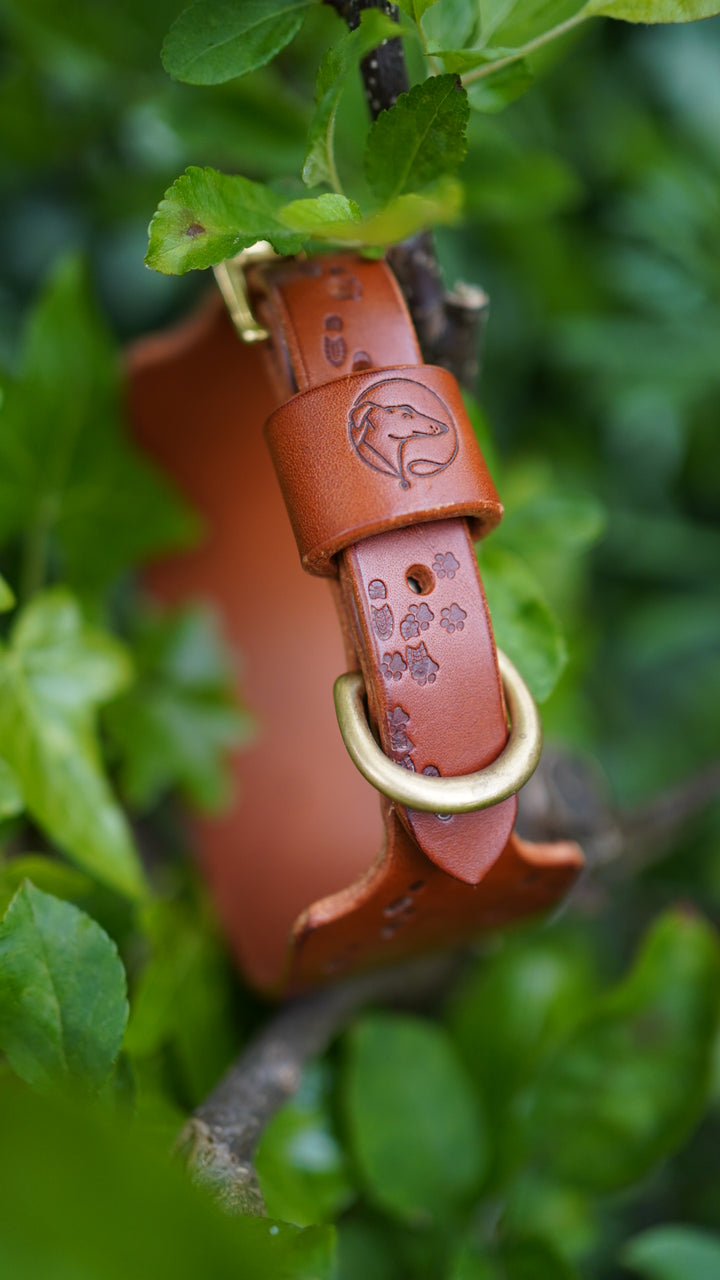 Limited Editon 'Paws on my Heart' Embossed Leather Collars