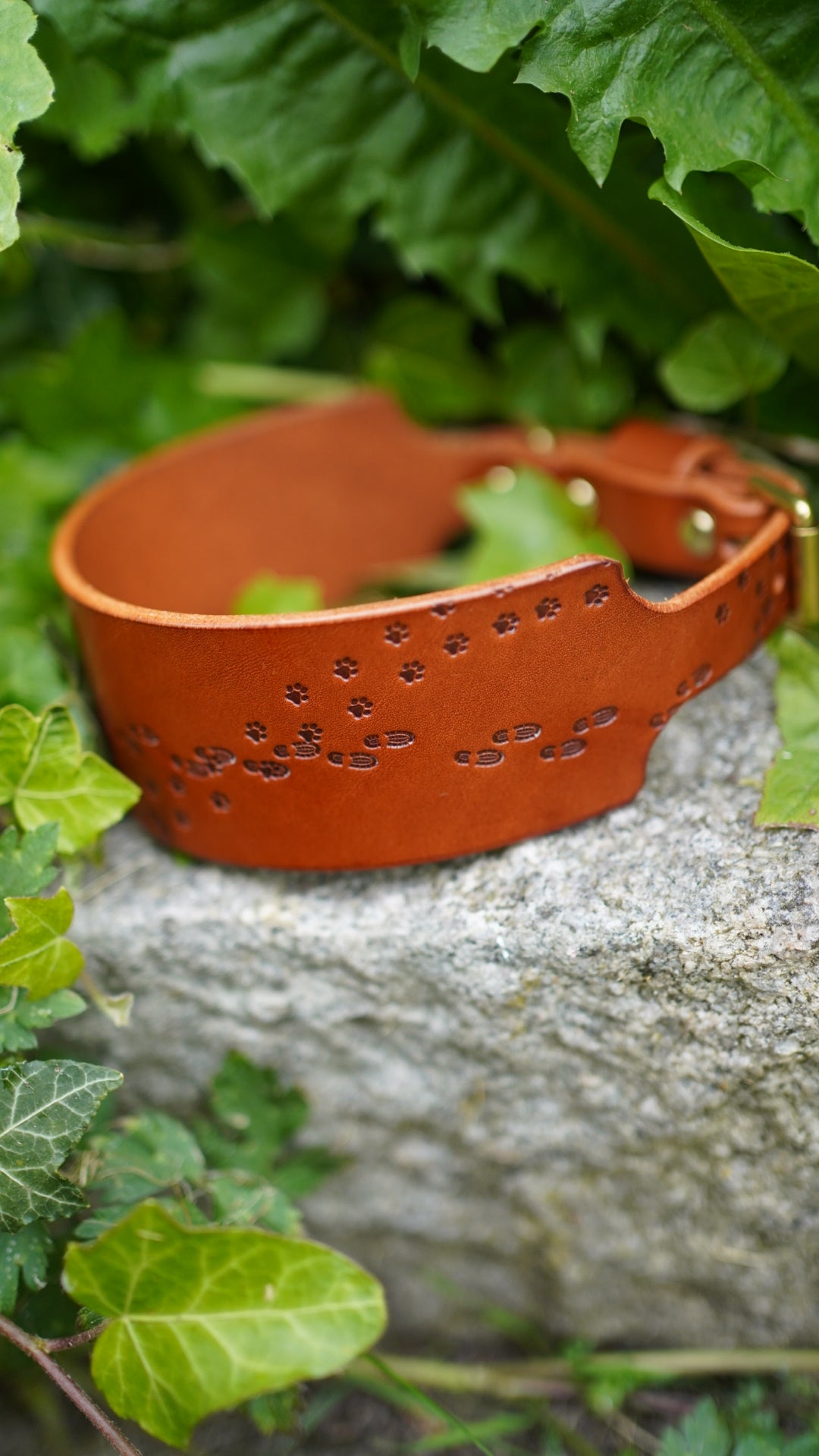 Limited Editon 'Paws on my Heart' Embossed Leather Collars