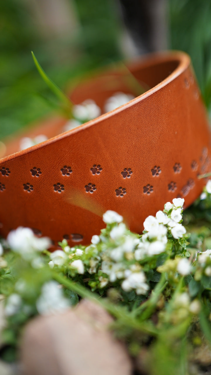 Limited Editon 'Paws on my Heart' Embossed Leather Collars