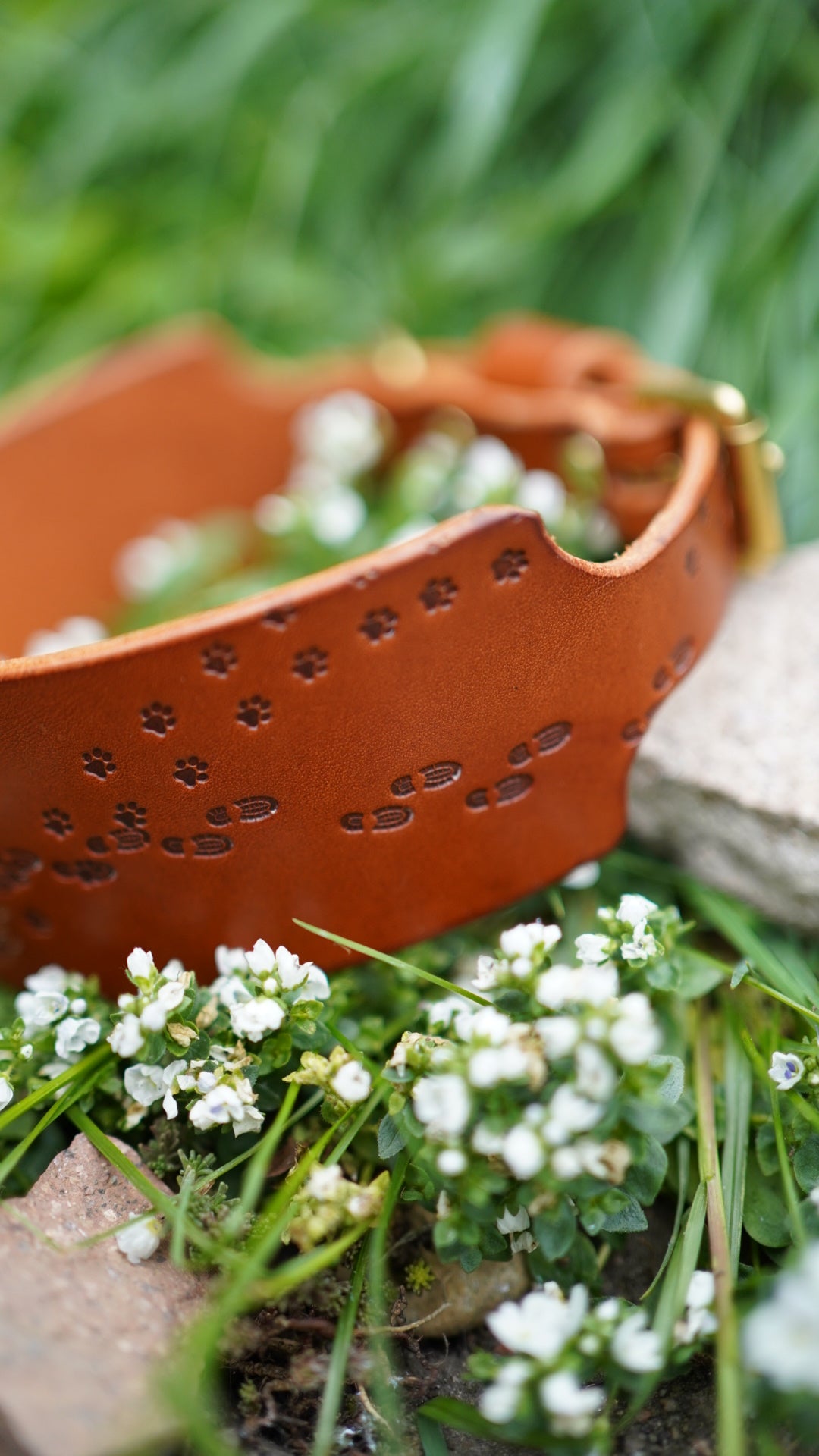 Limited Editon 'Paws on my Heart' Embossed Leather Collars