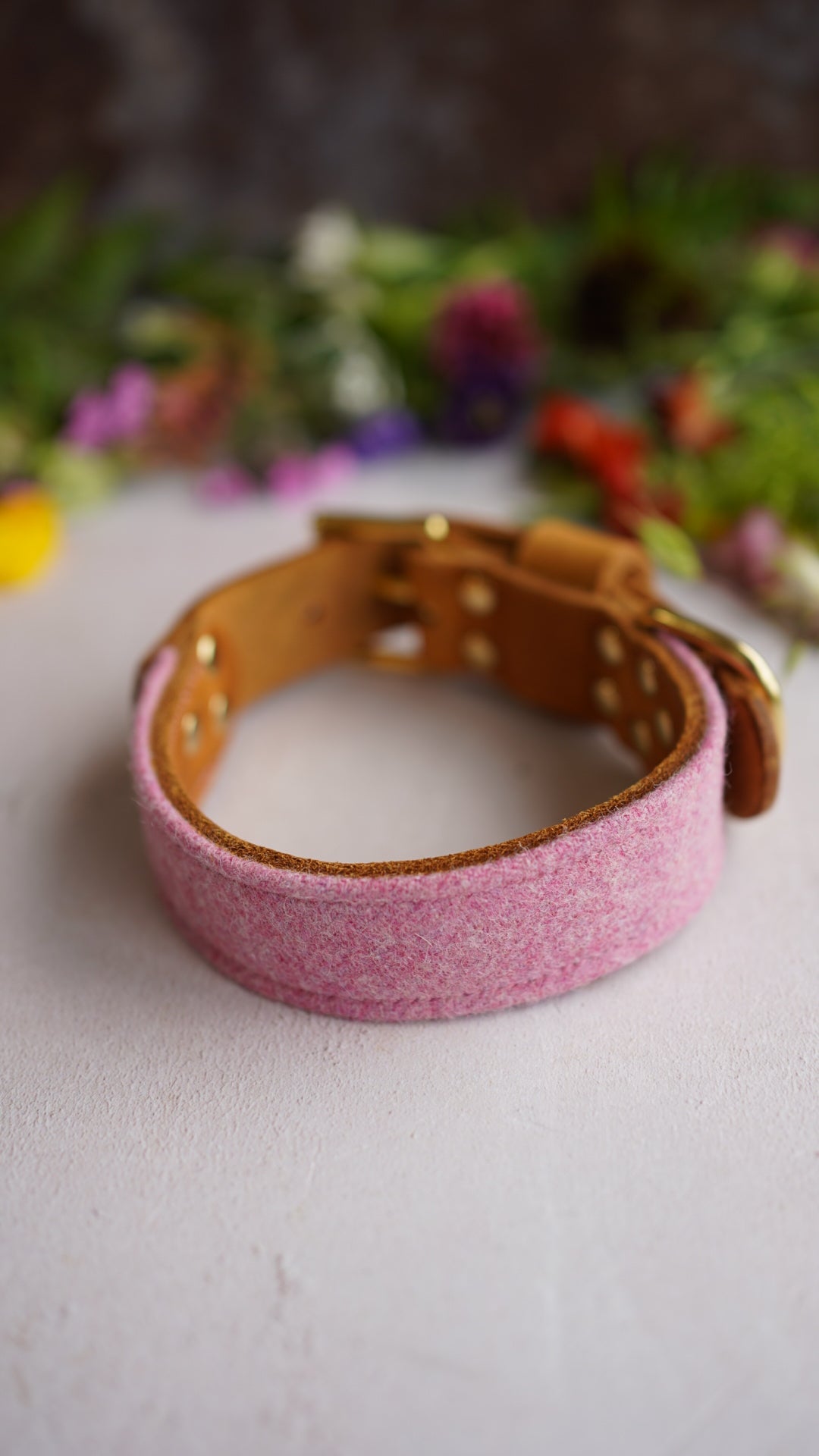 Calla - Luxury Buckle Collar - Moon Wool