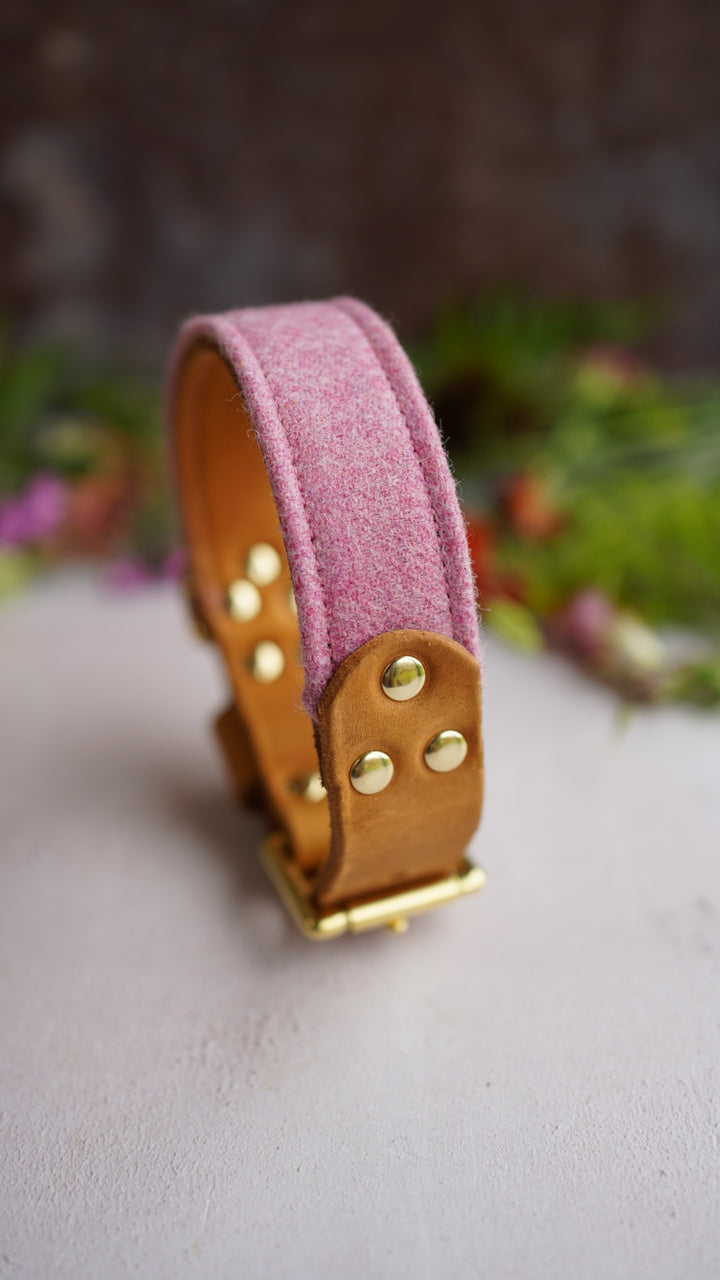 Calla - Luxury Buckle Collar - Moon Wool