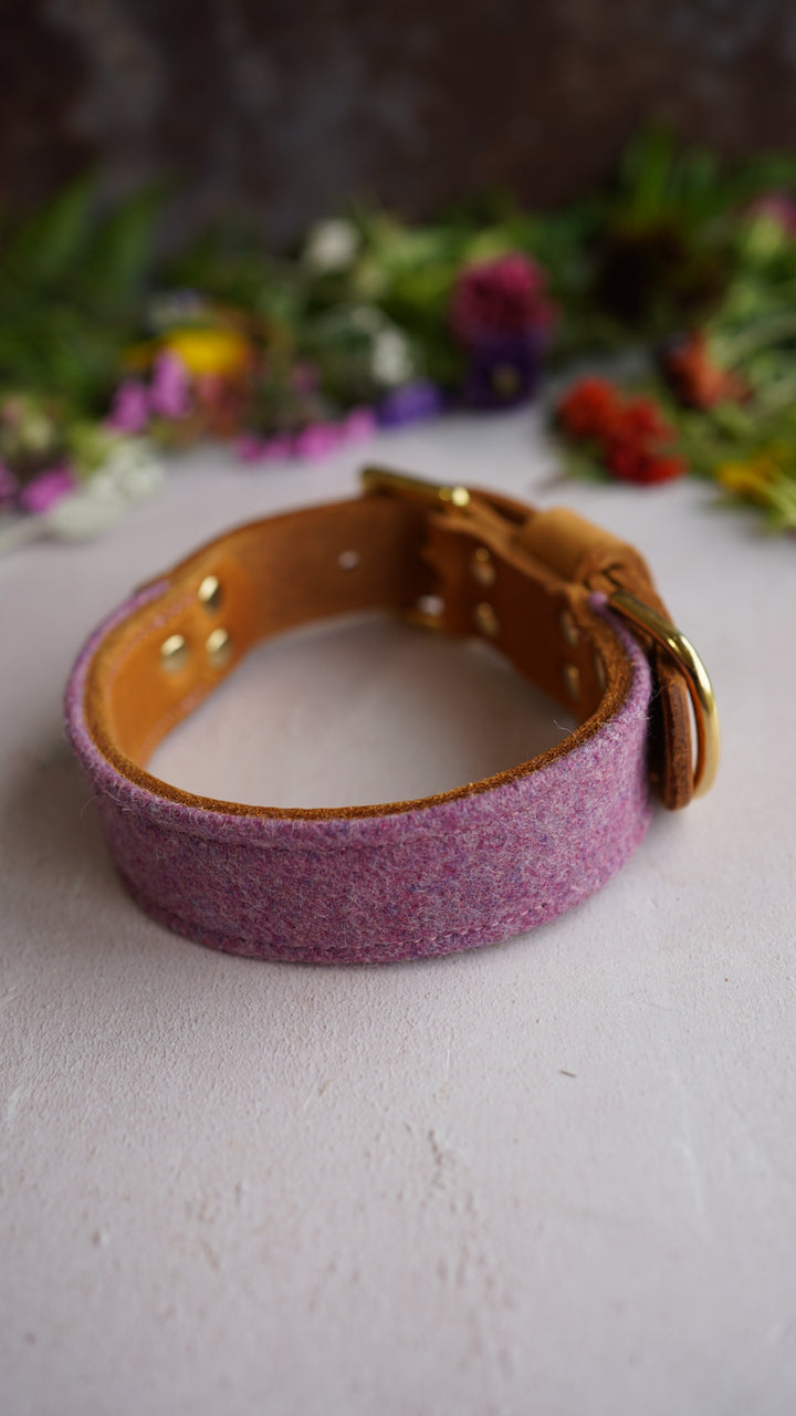 Cosmos - Luxury Buckle Collar - Moon Wool