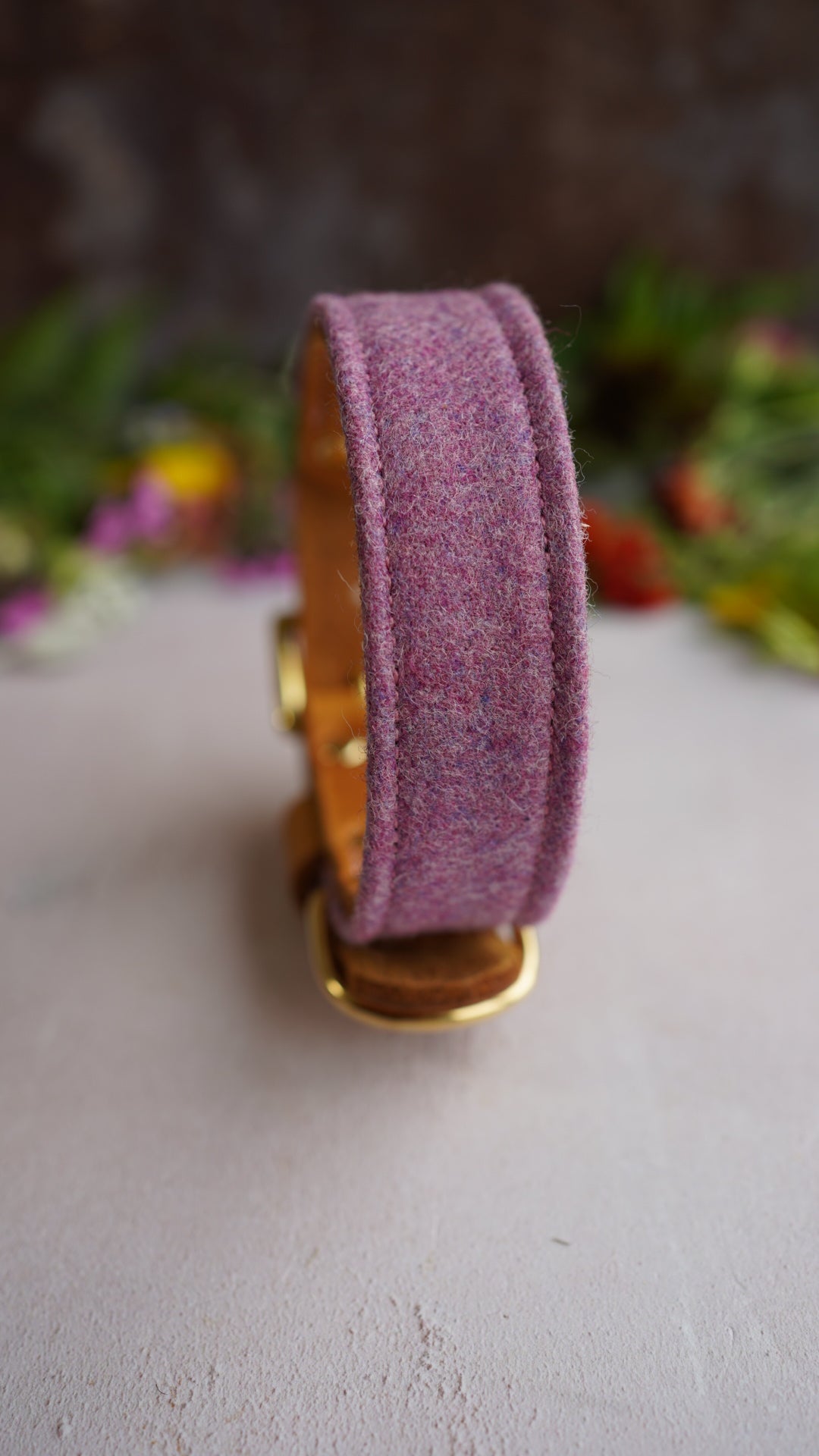 Cosmos - Luxury Buckle Collar - Moon Wool