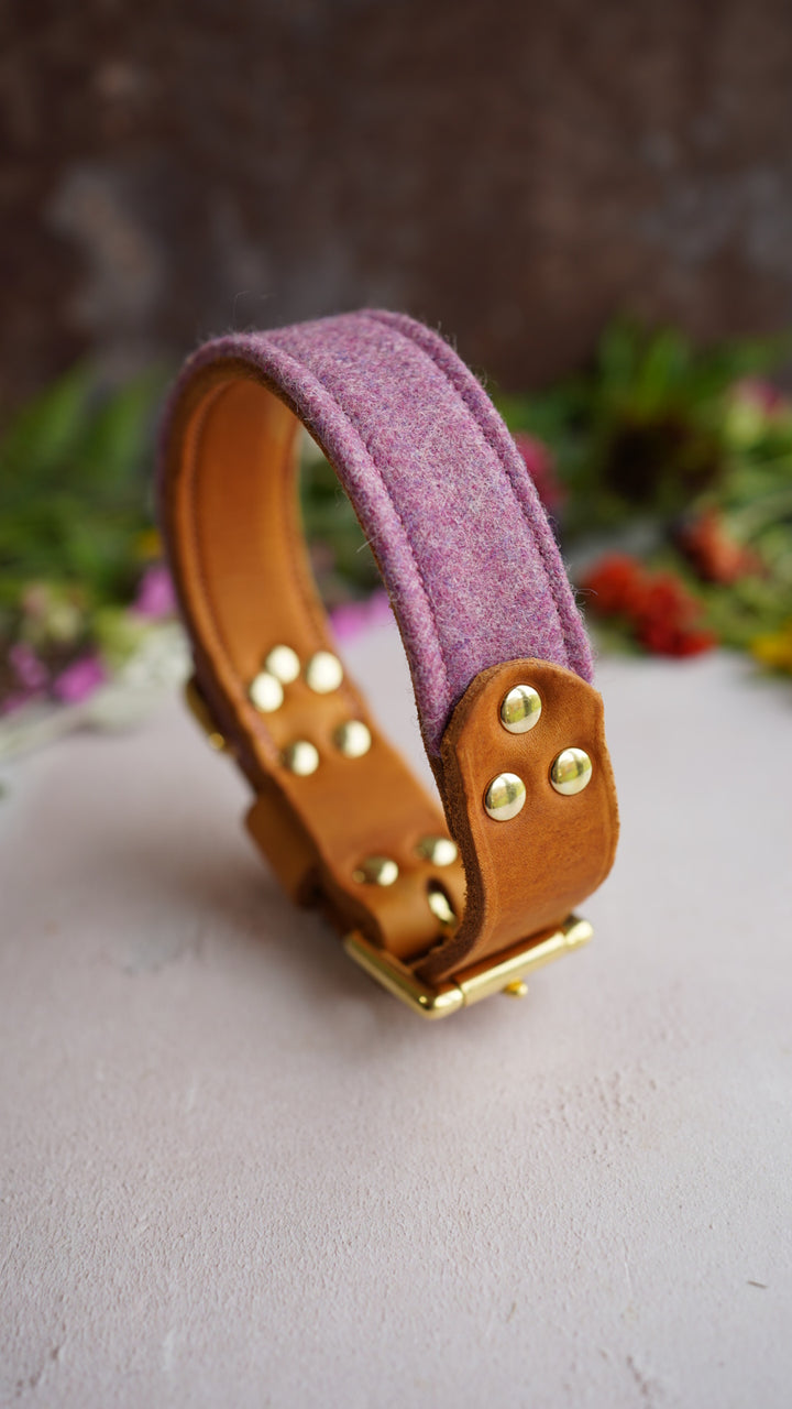 Cosmos - Luxury Buckle Collar - Moon Wool