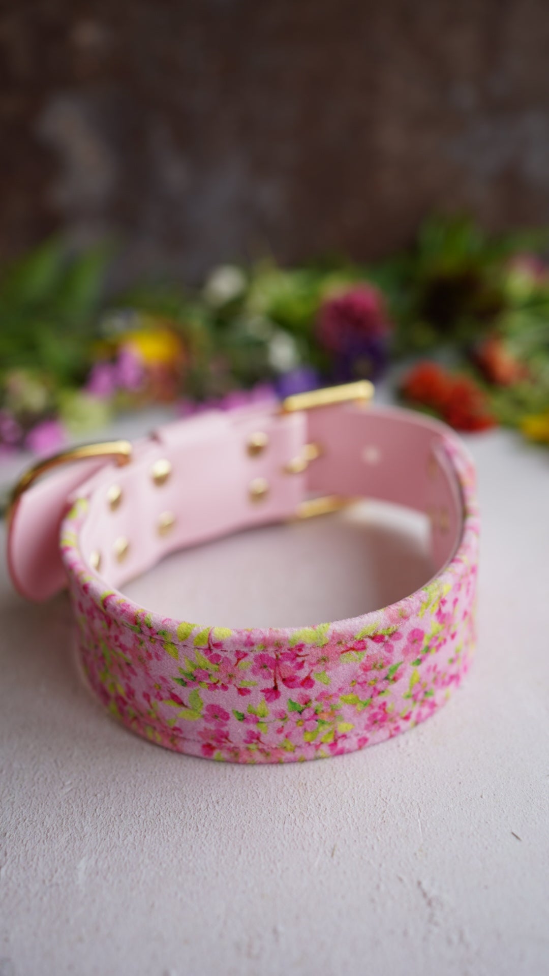 Cosmos - Luxury Buckle Collar - Velvet