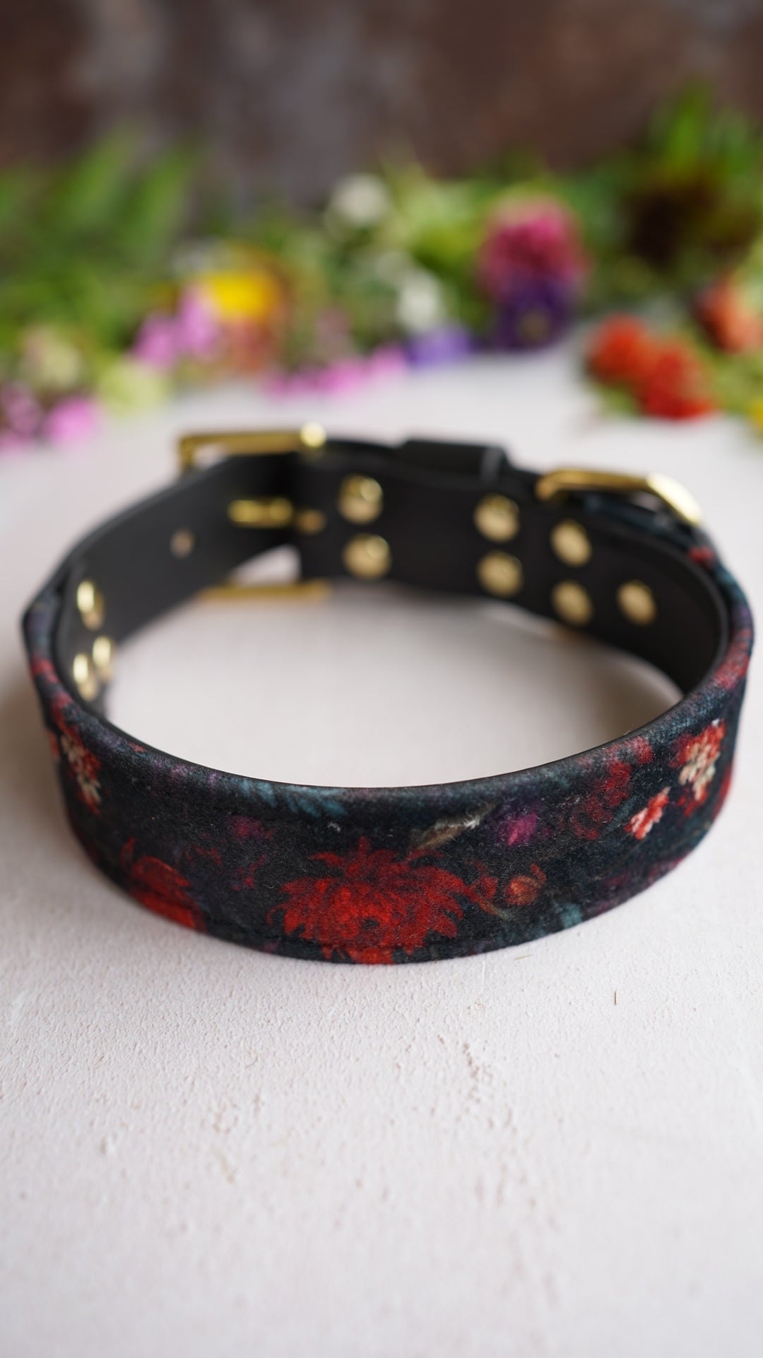 Raven - Luxury Buckle Collar - Velvet