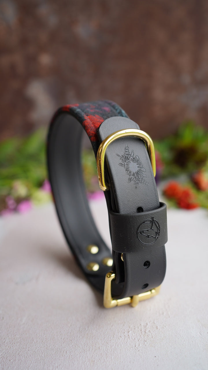 Raven - Luxury Buckle Collar - Velvet