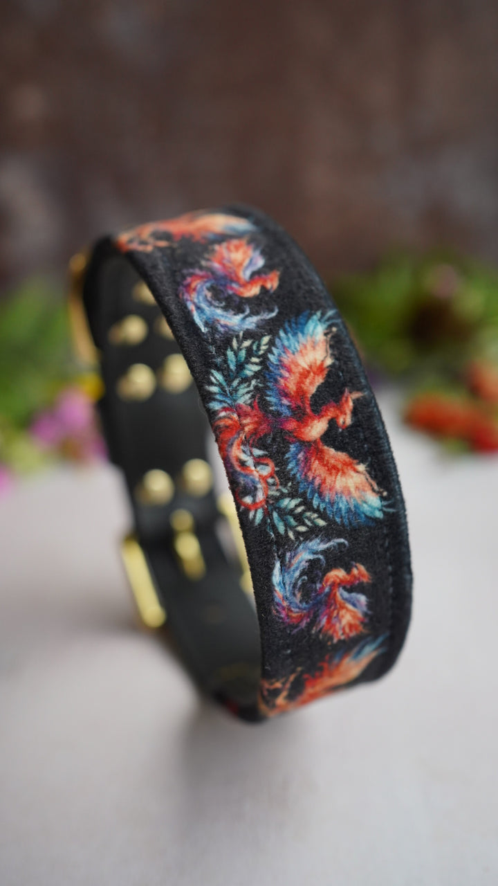 Firebird - Luxury Buckle Collar - Velvet