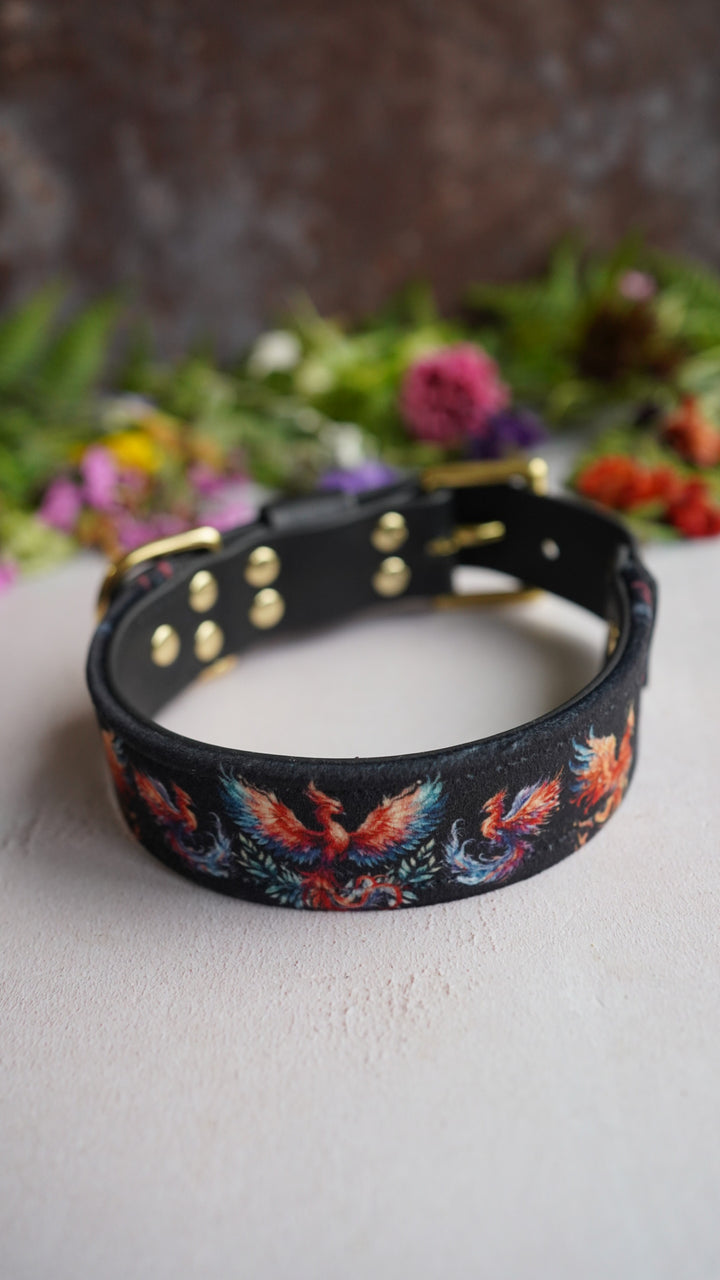 Firebird - Luxury Buckle Collar - Velvet