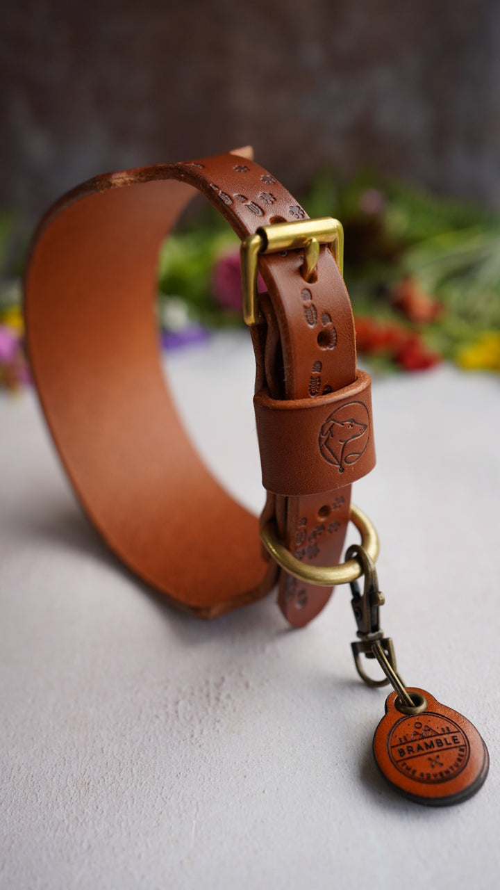 Limited Editon 'Paws on my Heart' Embossed Leather Collars