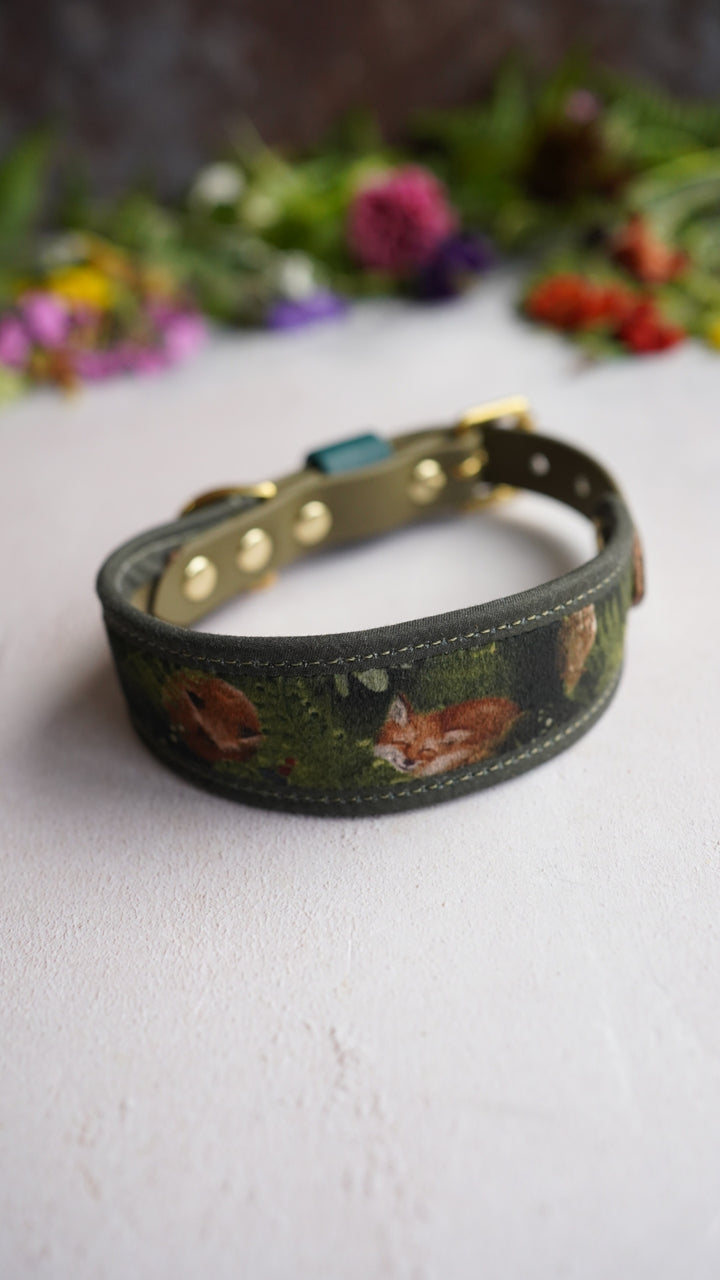 Fox Cub - Signature Collar - Velvet