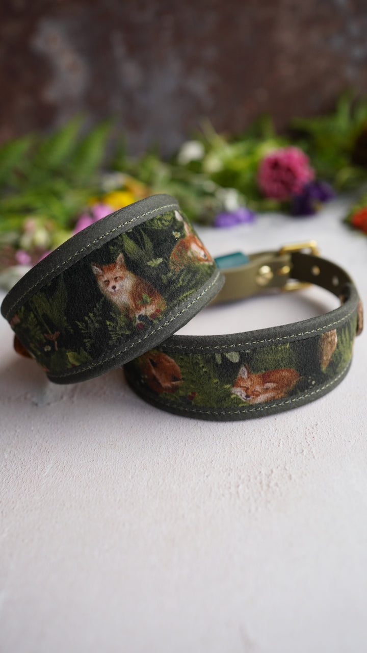 Fox Cub - Signature Collar - Velvet