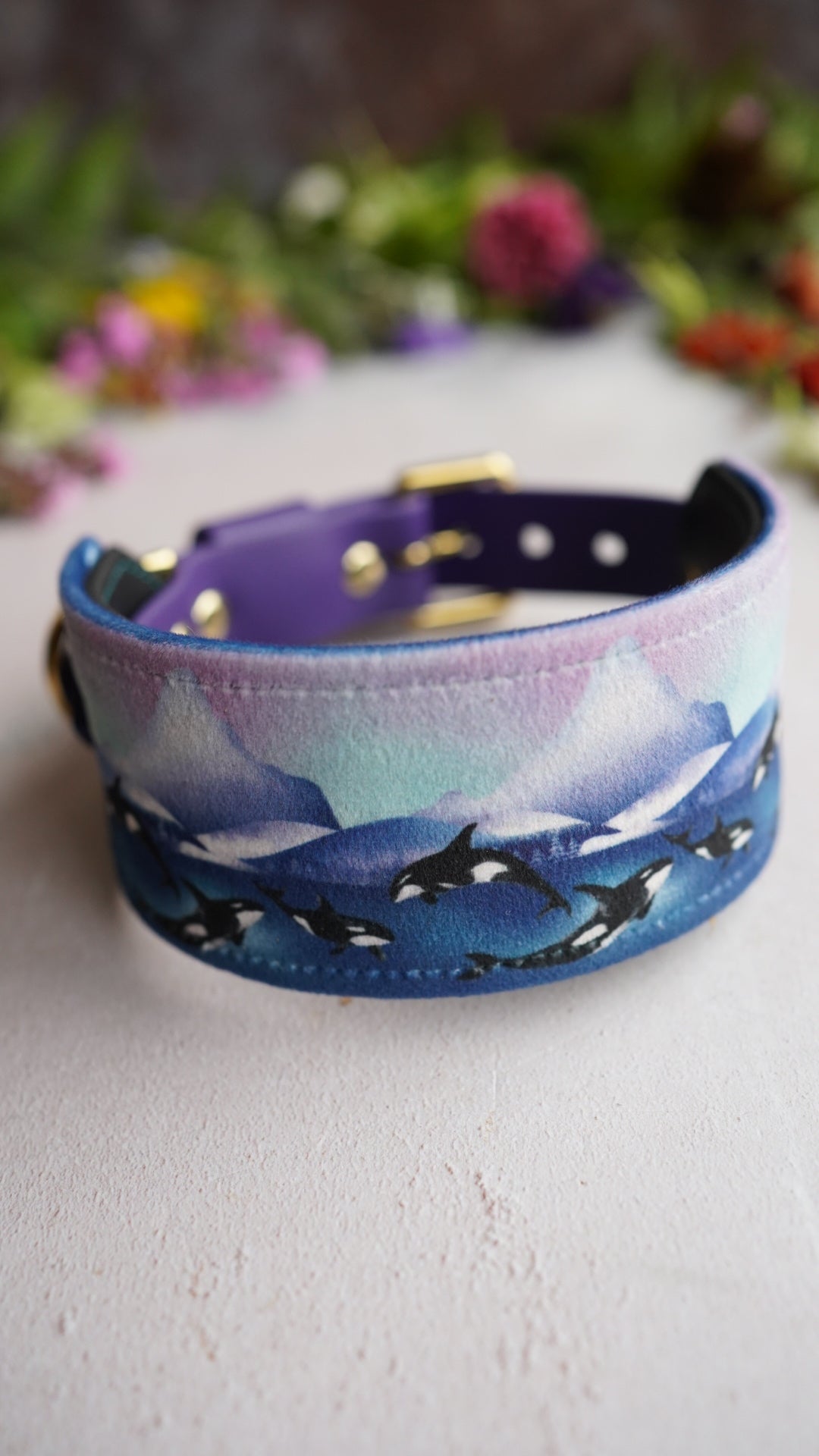 Whale Song - Luxury Buckle Collar - Velvet