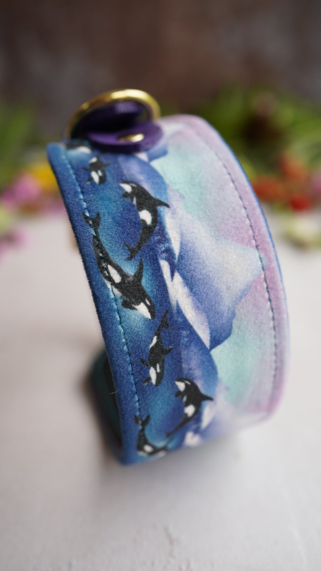 Whale Song - Luxury Buckle Collar - Velvet