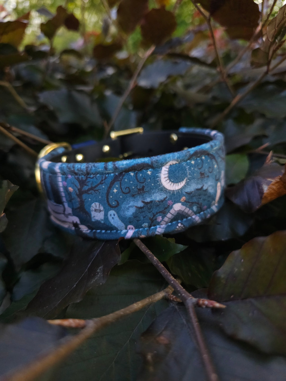 Witches Luck - Luxury Buckle Collar - Velvet