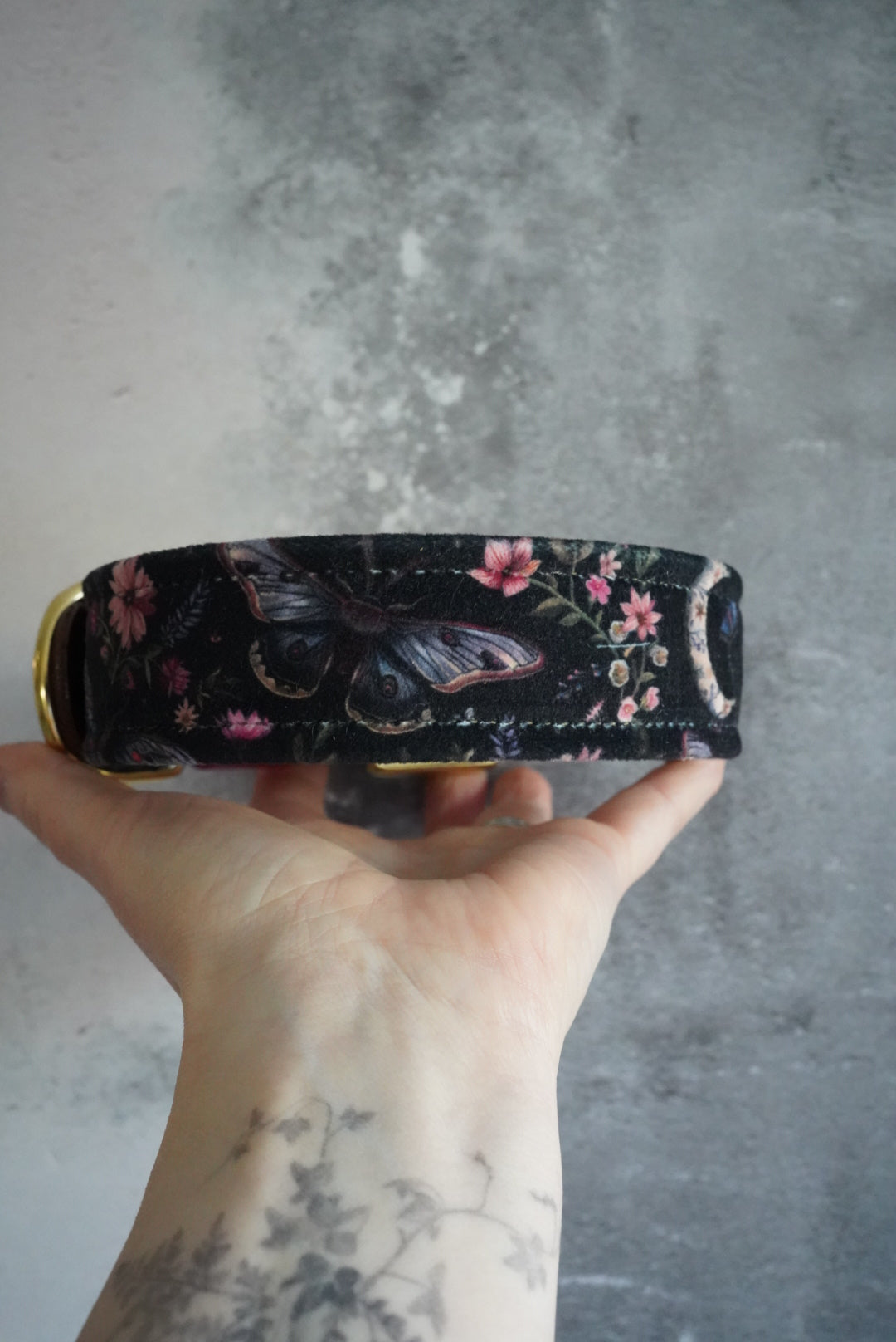 Coven - Luxury Buckle Collar - Velvet