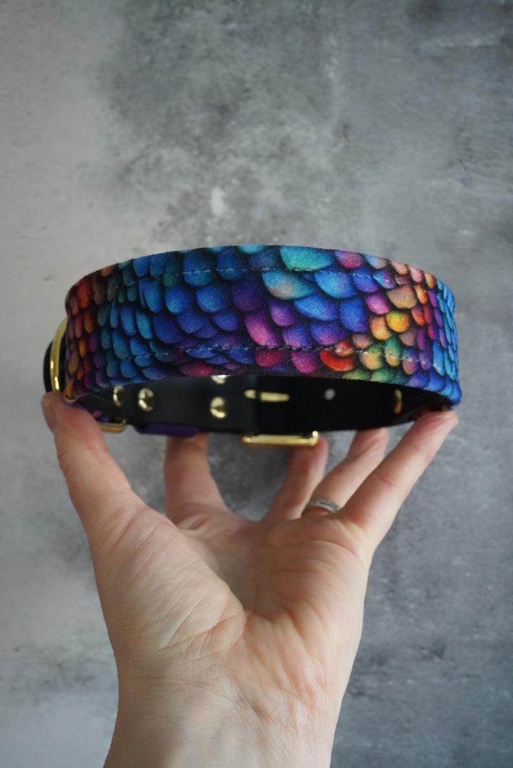 Kaleidoscope - Luxury Buckle Collar - Velvet